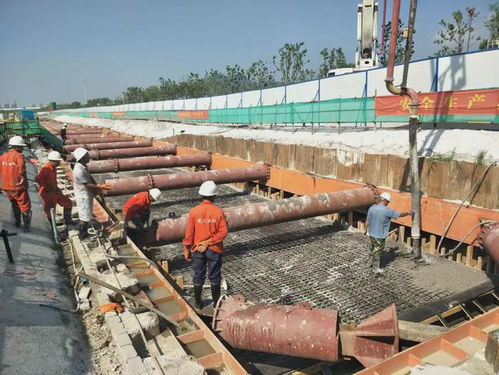 市政集團黨總支 黨建聯建，攜手共建精品民生工程